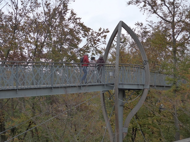 Edersee Ausflug Okt.18 Baumwipfelpfad