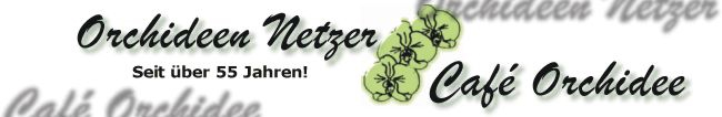 Orchidee Banner